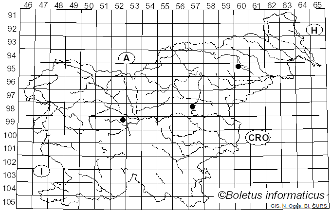 <i>Ovularia obliqua</i> (Cooke) Oudem. (1883)