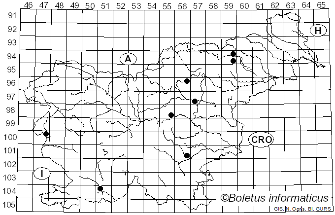 <i>Russula flavispora</i> Romagn. (1967)