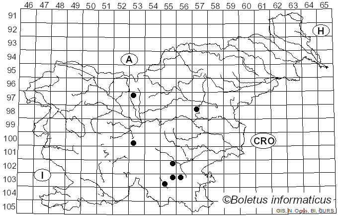 <i>Puccinia asarina</i> Kunze (1817)
