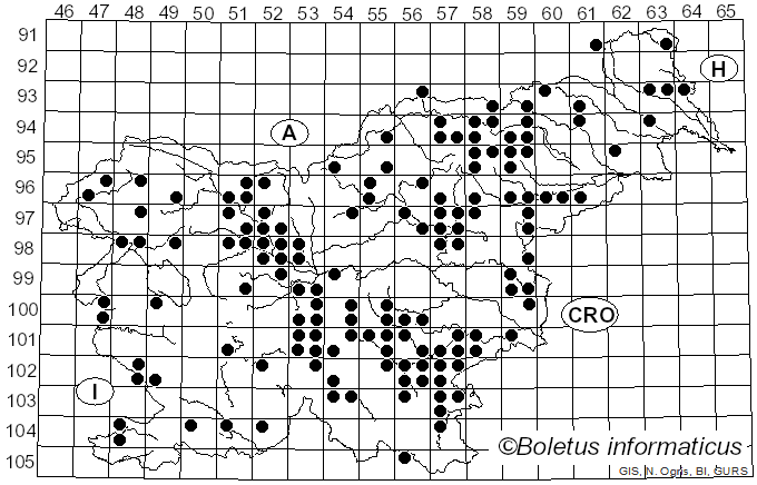 <i>Entoloma rhodopolium</i> (Fr.) P. Kumm. (1871)