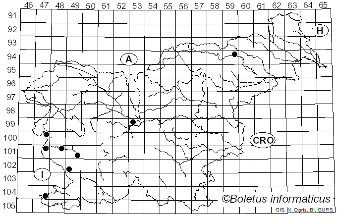 <i>Puccinia distincta</i> McAlpine (1896)