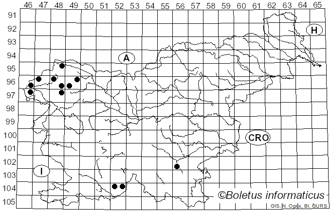 <i>Peltigera leucophlebia</i> (Nyl.) Gyeln. (1926)