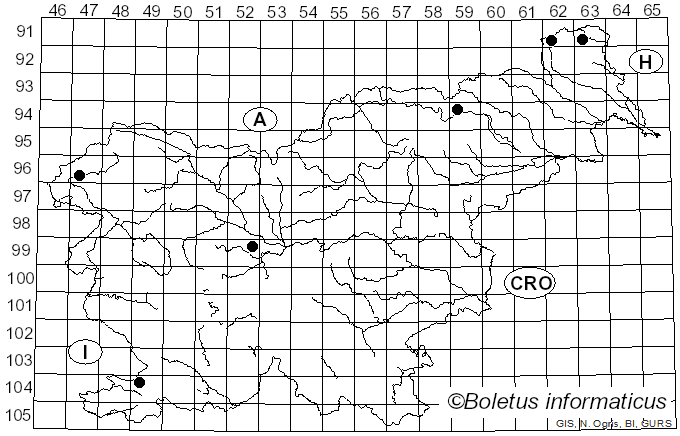 <i>Mycena olivaceomarginata</i> (Massee) Massee (1893)