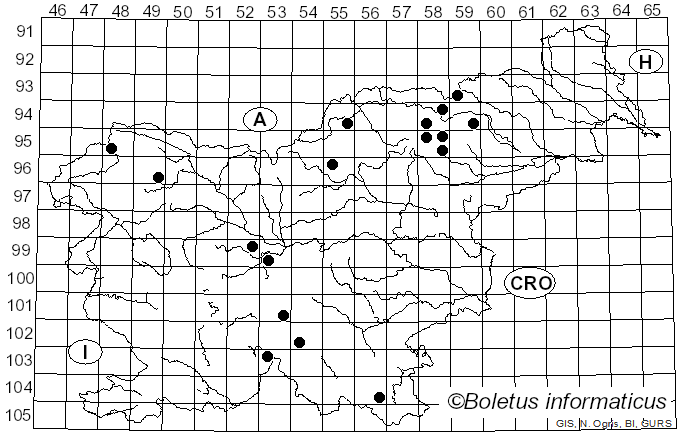 <i>Lactarius sphagneti</i> (Fr.) Neuhoff (1956)