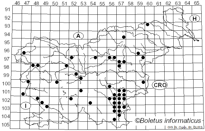 <i>Lactarius flavidus</i> Boud. (1887)