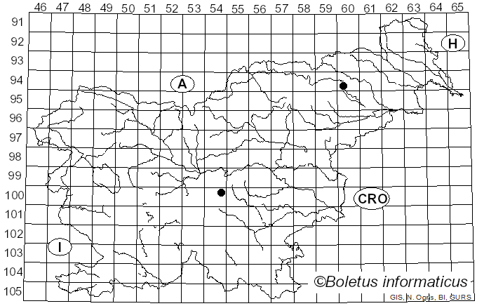 <i>Inocybe rufoalba</i> Sacc. (1887)