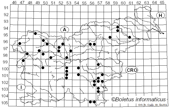 <i>Suillellus mendax</i> (Simonini & Vizzini) Vizzini, Simonini & Gelardi (2014)