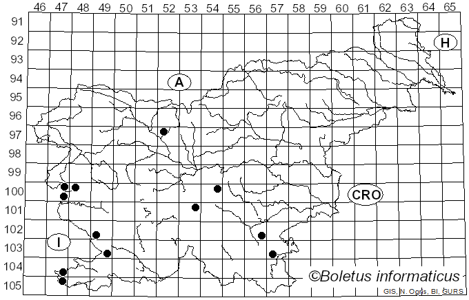 <i>Agaricus bresadolanus</i> Bohus (1969)
