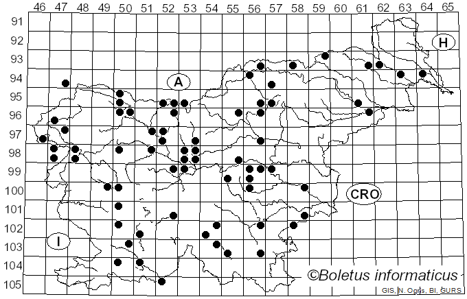 <i>Hymenoscyphus fraxineus</i> (T. Kowalski) Baral, Queloz & Hosoya (2014)
