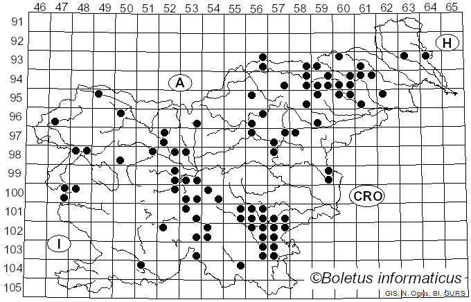 <i>Russula faginea</i> Romagn. (1962)
