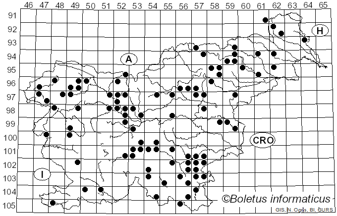 <i>Galerina marginata</i> (Batsch) Kühner (1935)