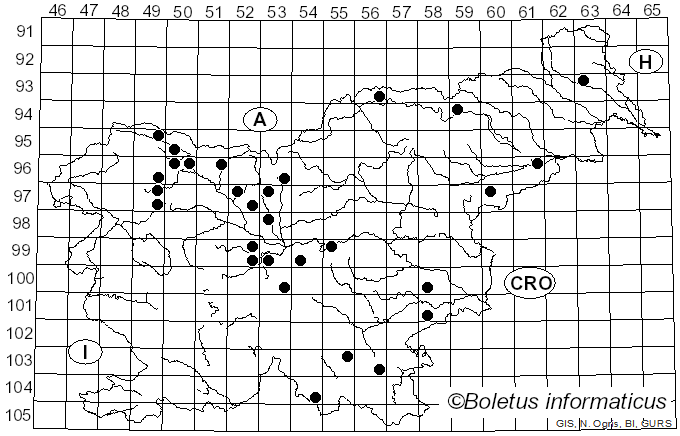 <i>Cercospora</i> Fuckel (1863)