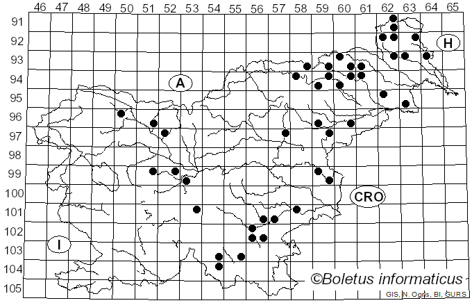<i>Antrodiella</i> Ryvarden & I. Johans. (1980)