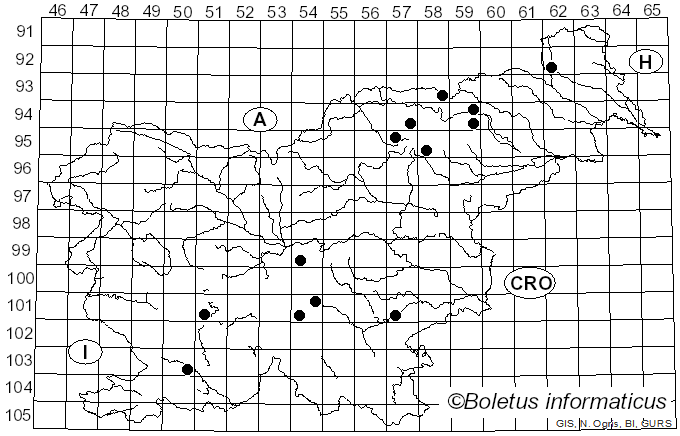 <i>Postia fragilis</i> (Fr.) Jülich (1982)