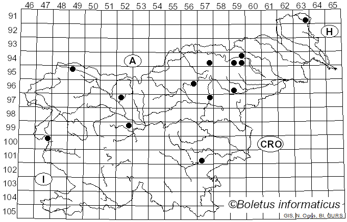 <i>Hebeloma pusillum</i> J.E. Lange (1940)