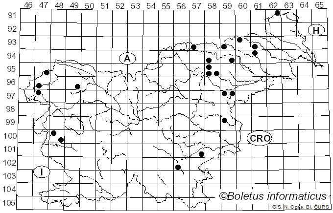 <i>Thaxterogaster</i> Singer (1951)