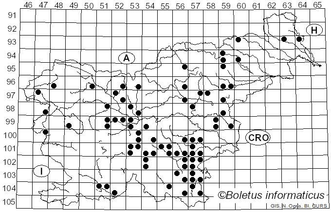 <i>Polyporus umbellatus</i> (Pers.) Fr. (1821)