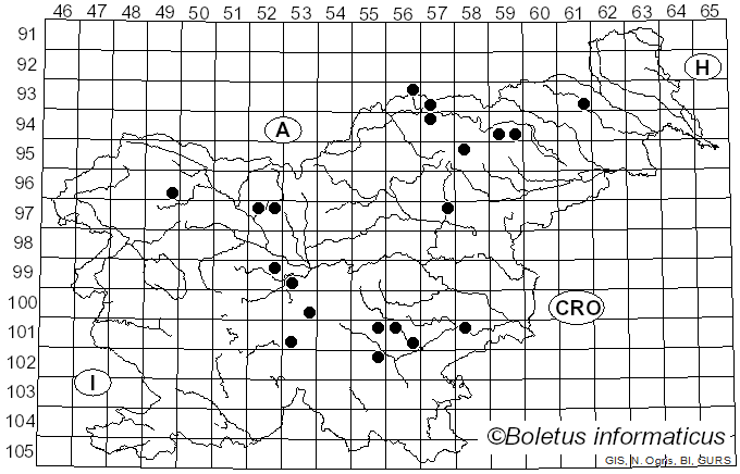 <i>Cortinarius bovinus</i> Fr. (1838)