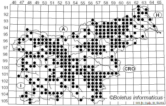 <i>Inocybe</i> (Fr.) Fr. (1863)