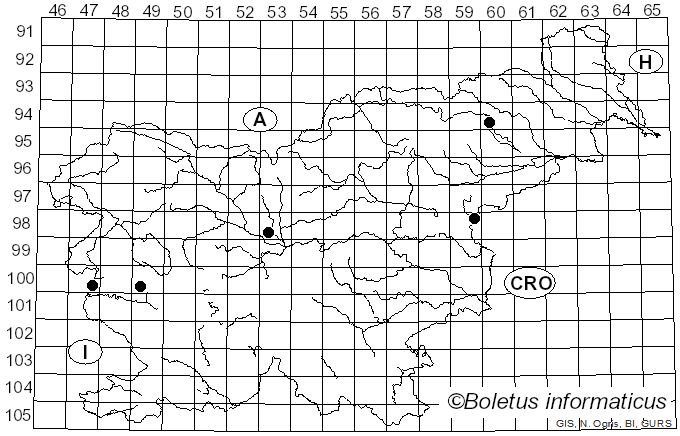 <i>Agrilus biguttatus</i> Fabricius (1777)