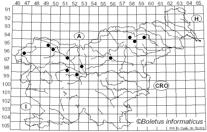 <i>Cudoniella clavus</i> (Alb. & Schwein.) Dennis (1964)