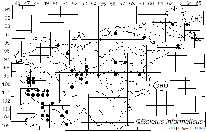 <i>Diplodia pinea</i> (Desm.) J. Kickx f. (1867)