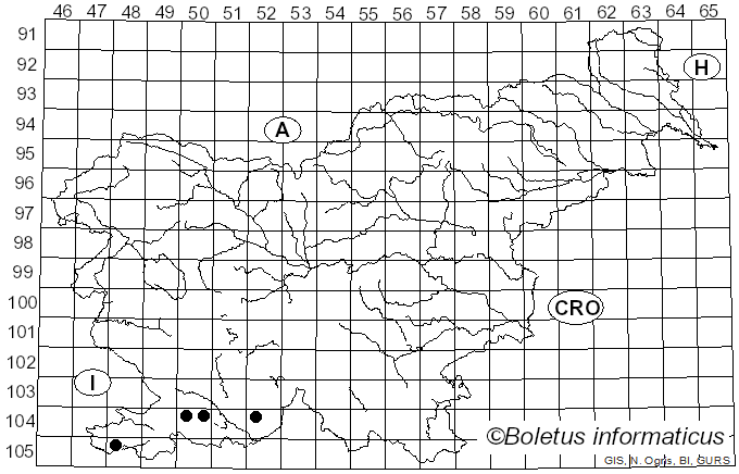 <i>Coprotus</i> Korf & Kimbr. (1967)