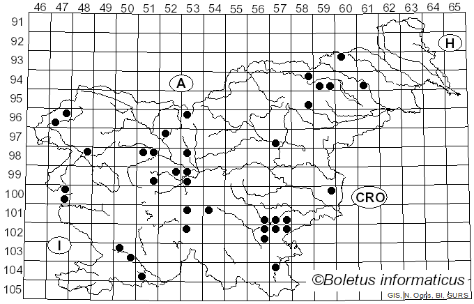 <i>Inosperma cookei</i> (Bres.) Matheny & Esteve-Rav. (2019)