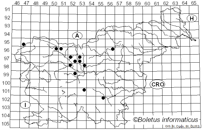 <i>Cyphella</i> Fr. (1822)