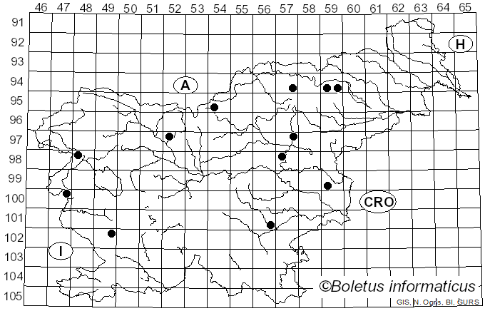 <i>Amanita beckeri</i> Huijsman (1962)