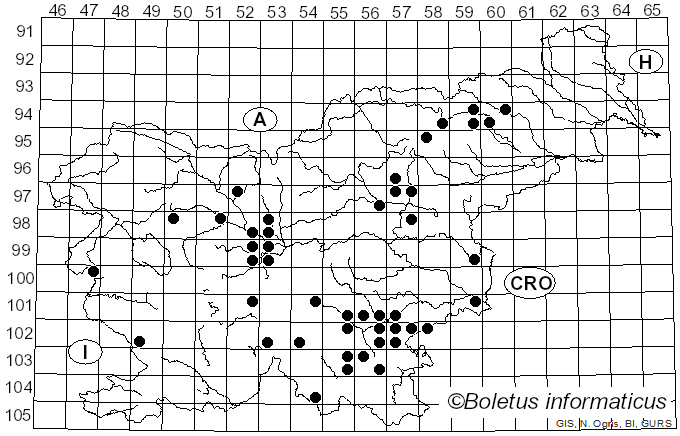 <i>Polyporellus</i> P. Karst. (1879)