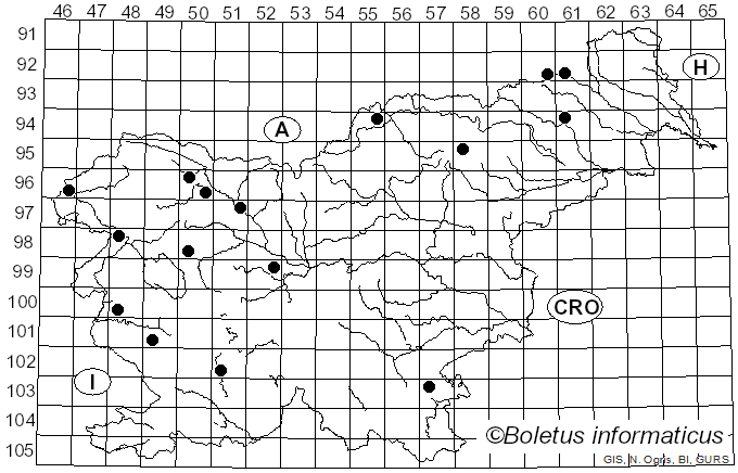 <i>Phylloporia</i> Murrill (1904)