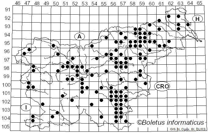 <i>Russula amoena</i> Quél. (1880)