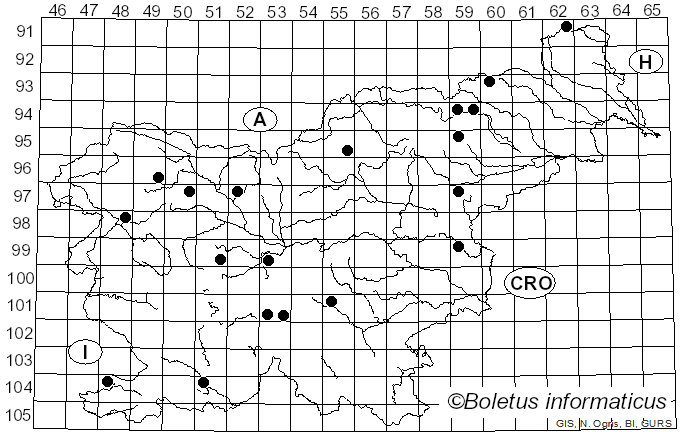 <i>Inocybe sindonia</i> (Fr.) P. Karst. (1879)