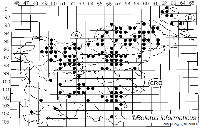 <i>Amanita porphyria</i> Fr. (1805)