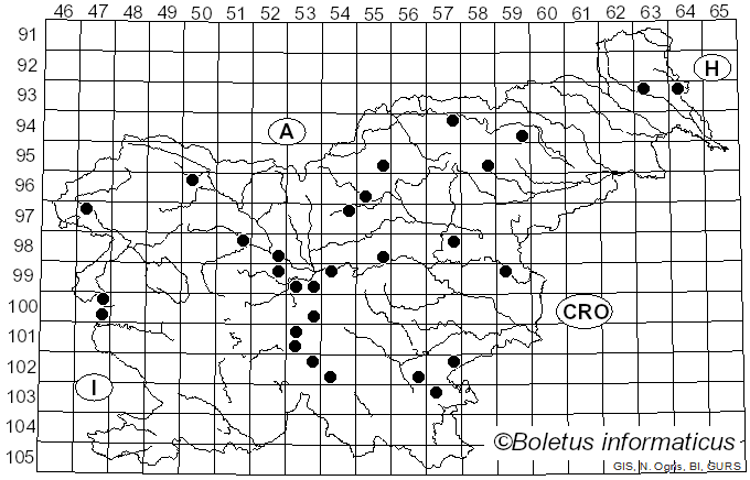 <i>Cotylidia pannosa</i> (Sowerby) D.A. Reid (1965)