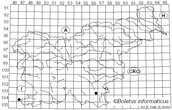 <i>Phragmidium tuberculatum</i> J.B. Müll. (1885)