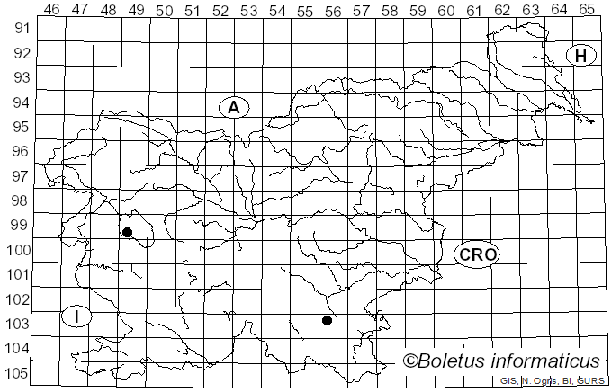 <i>Mycoacia fuscoatra</i> (Fr.) Donk (1931)