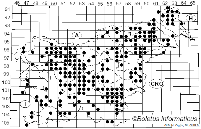 <i>Clitocybe nebularis</i> (Batsch) Quél. (1857)
