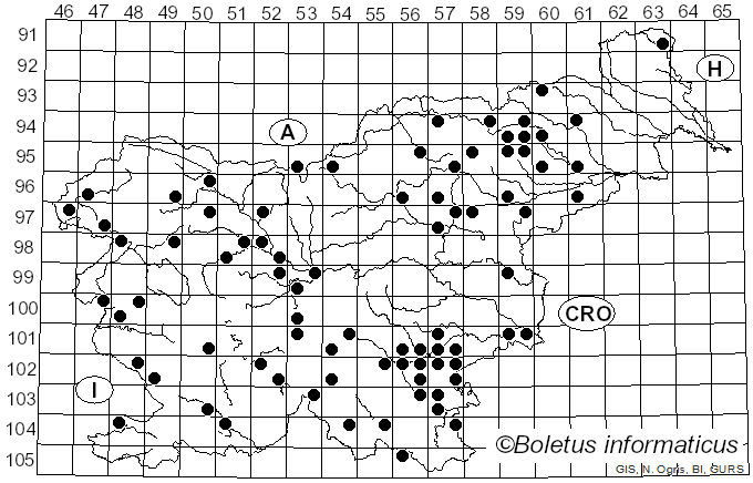 <i>Russula chloroides</i> (Krombh.) Bres. (1900)