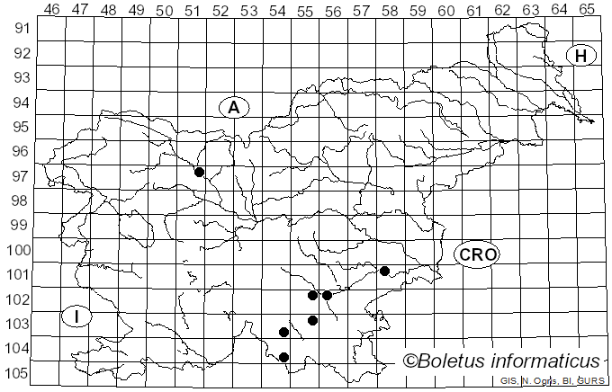 <i>Gloeocystidiellum porosum</i> (Berk. & M.A. Curtis) Donk (1931)