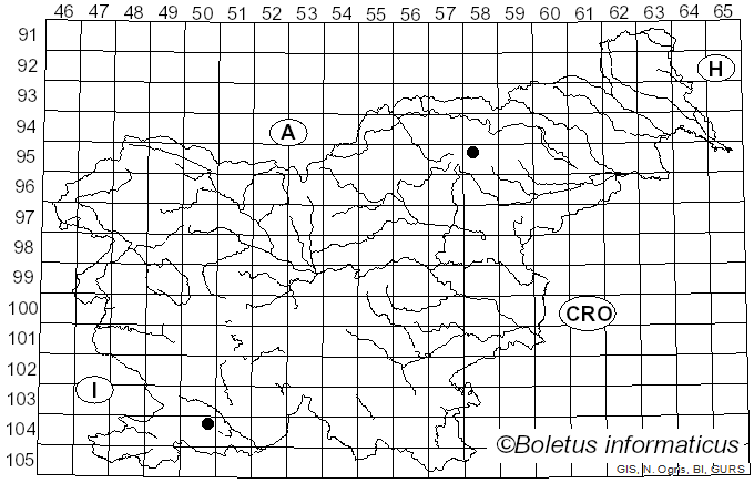 <i>Entoloma byssisedum</i> (Pers.) Donk (1949)