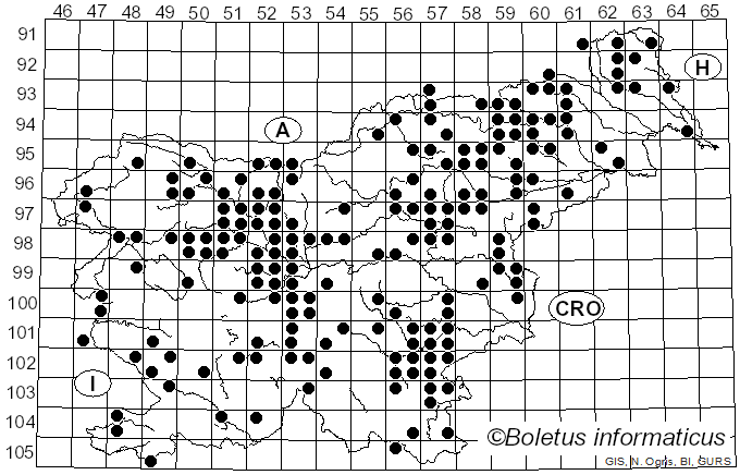 <i>Coprinus comatus</i> (O.F. Müll.) Pers. (1797)