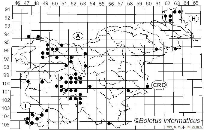 <i>Sphaerophoria</i> Le Peletier & Serville (1828)