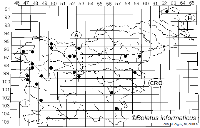 <i>Hygrocybe intermedia</i> (Pass.) Fayod (1889)