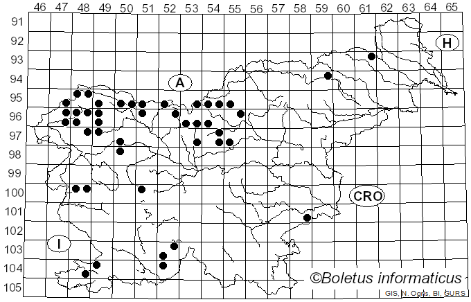 <i>Monochamus sartor</i> Fabricius (1787)