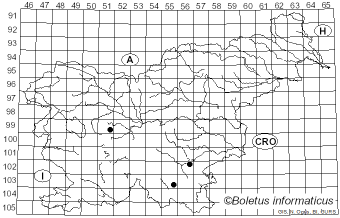 <i>Hymenochaete cinnamomea</i> (Pers.) Bres. (1897)