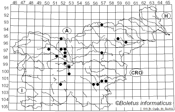 <i>Entocybe</i> T.J. Baroni, V. Hofst. & Largent (2011)