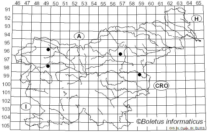<i>Entoloma asprellum</i> (Fr.) Fayod (1889)