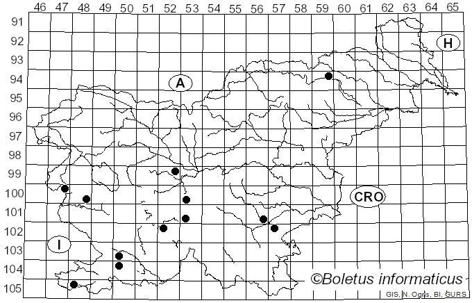 <i>Tricholoma basirubens</i> (Bon) A. Riva & Bon (1988)
